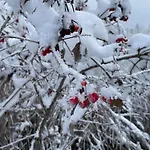 Fuenf Rosen Boutique - Bio-ferienwohnung Am Staffelsee Im Blauen Land *